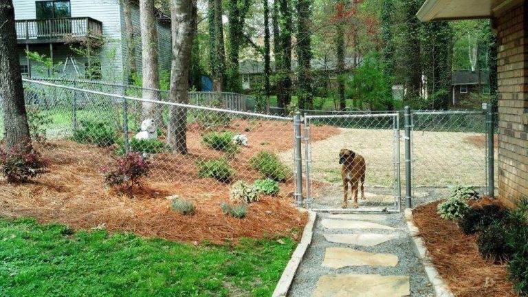 best fence for dogs galvanized chain link fence with dog