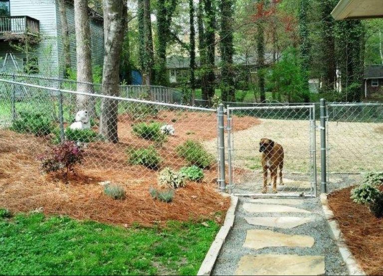 best fence for dogs galvanized chain link fence with dog