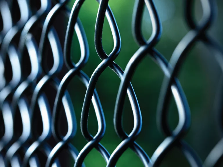 close-up of the chain-link fence