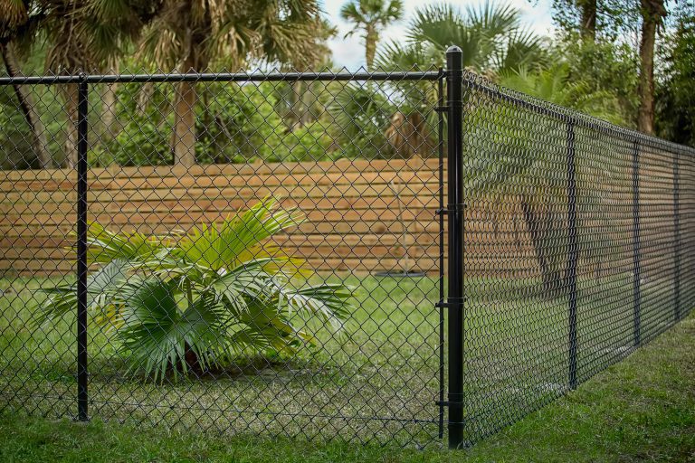 Chain-link fence enclosing a yard with palm plants and a wooden fence in the background.
